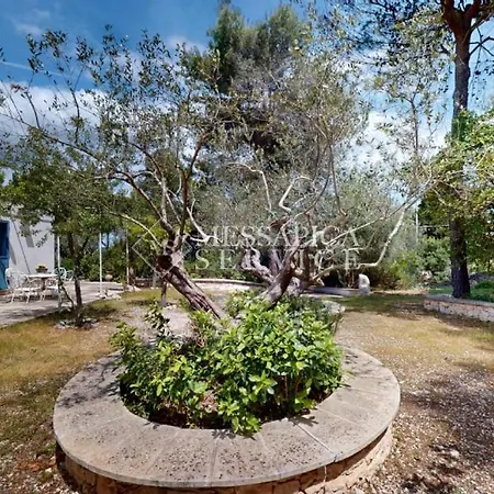 Hébergement de vacances Trullo Sogno