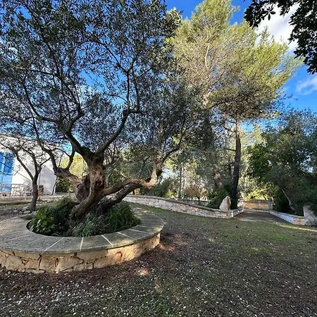Hébergement de vacances Trullo Sogno Martina Franca